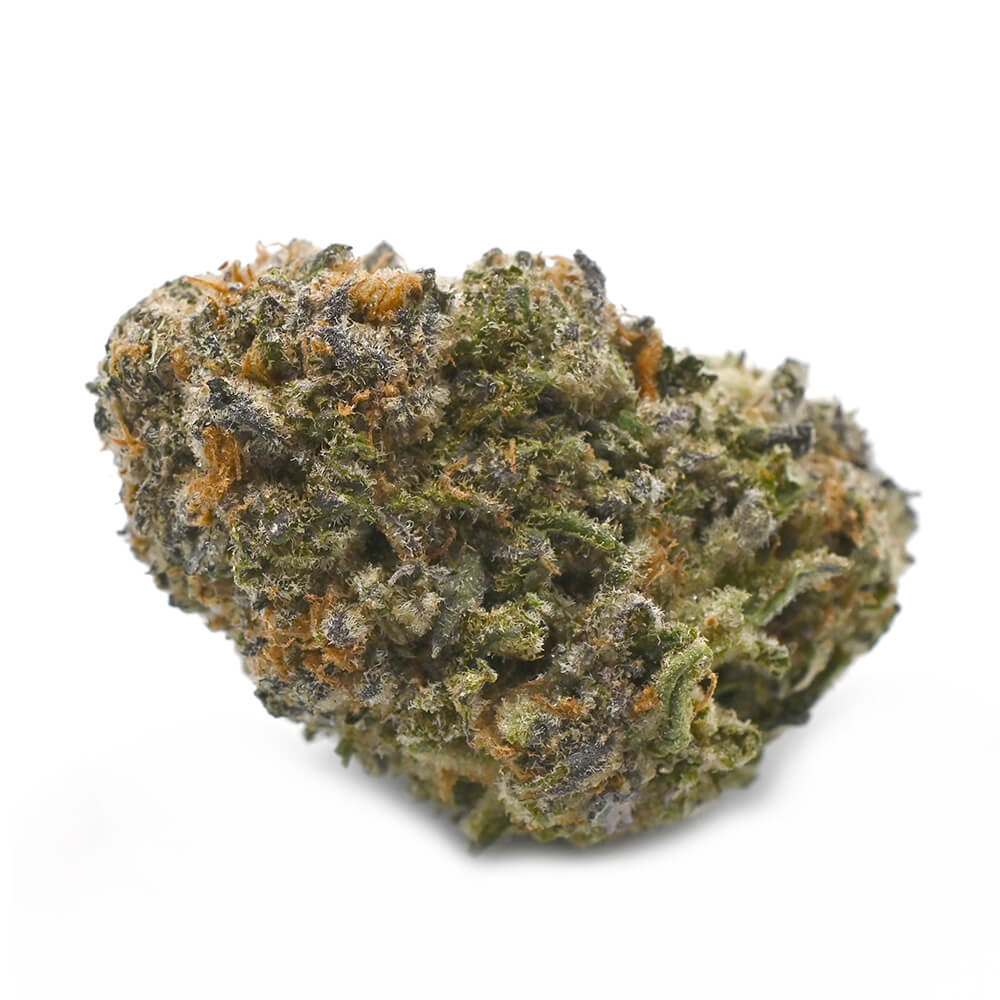 Atomic Blue Dream > Sensi Seeds | Feminized Cannabis   |  Hybrid